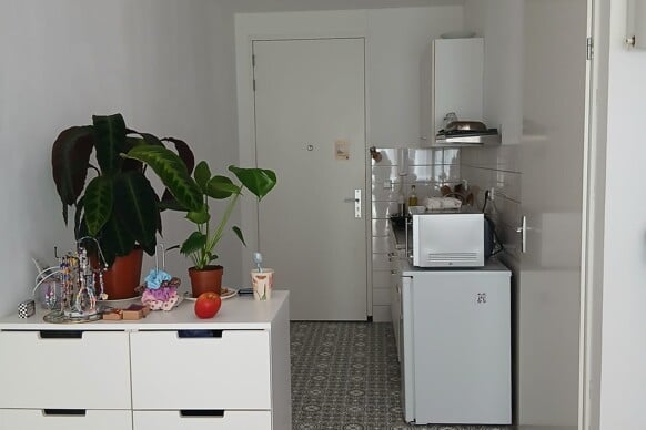 Kamer te huur: Omegaplantsoen 406, Cronestein Leiden