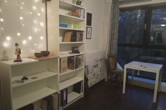 Kamer te huur: Hildebrandpad 446, Pesthuiswijk Leiden