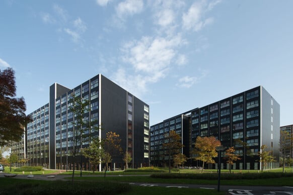 Room for rent: Hildebrandpad 740, Pesthuiswijk Leiden