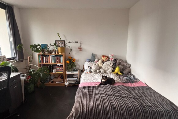 Kamer te huur: Ravenhorst 54KMR-2, Slaaghwijk Leiden